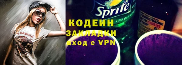 прущие грибы Балабаново