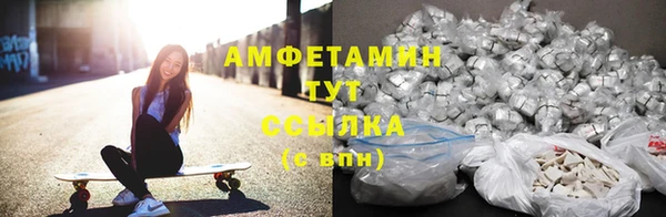 прущие грибы Балабаново