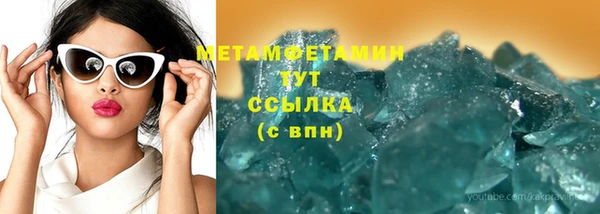 прущие грибы Балабаново