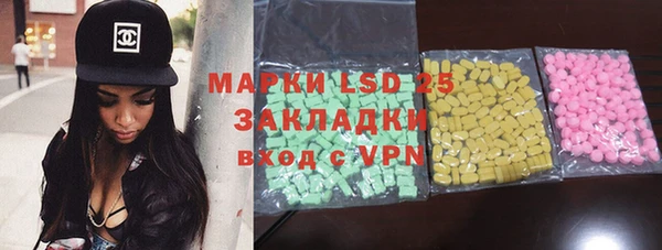прущие грибы Балабаново