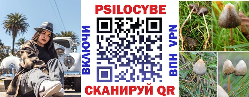 мориарти официальный сайт  Бологое  Галлюциногенные грибы Psilocybine cubensis 
