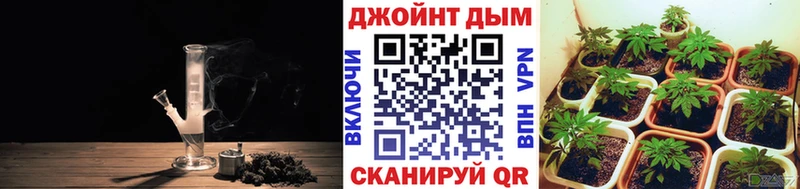 Каннабис семена  продажа наркотиков  Бологое 